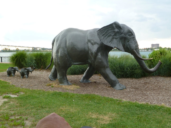 Family of Elephants