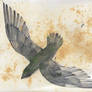 Chimney Swift Watercolor