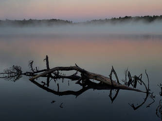 morning mist