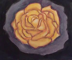 Yellow Rose in Watercolor