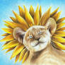 Lion sunflower