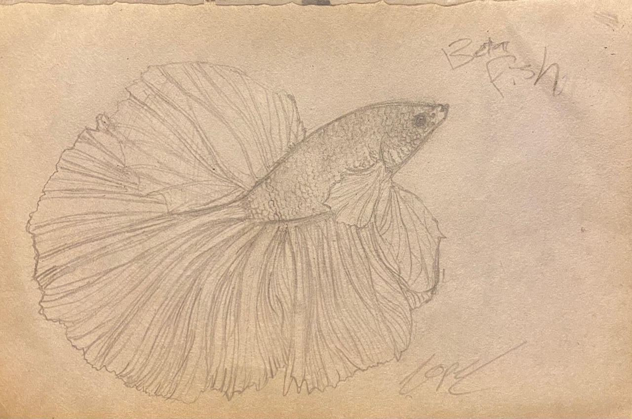 Two Fish Beta Ink beta fish by 0nyxeyes on DeviantArt