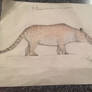 Andrewsarchus mongoliensis