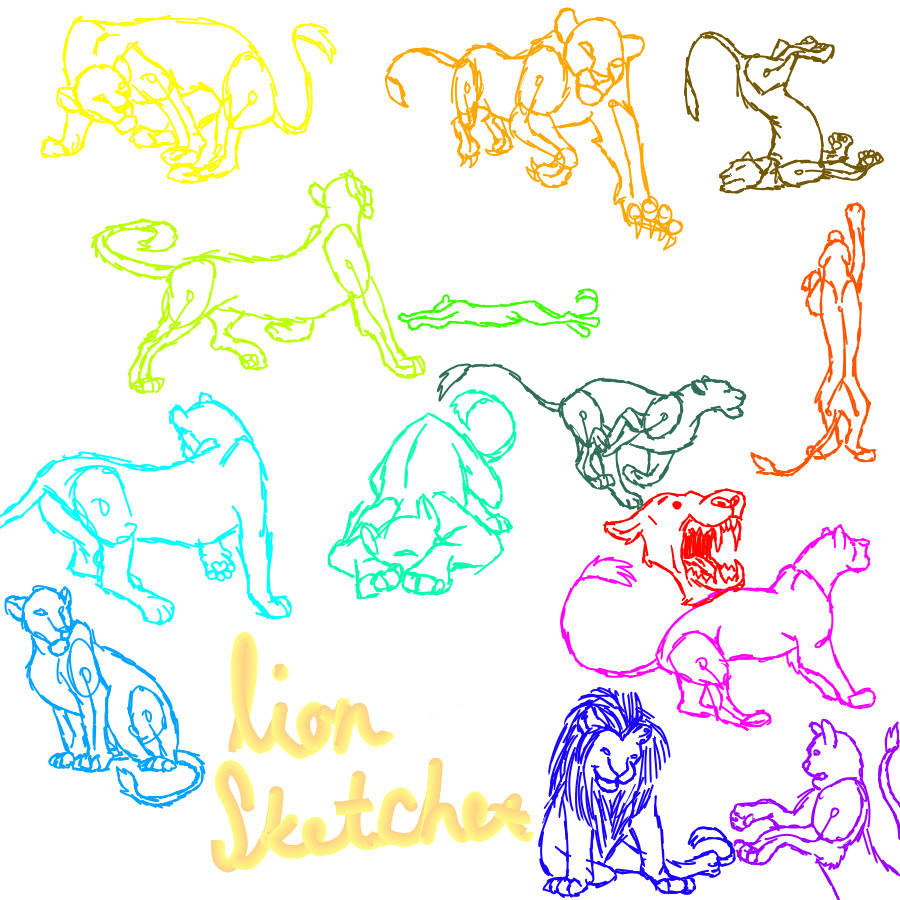 Lion Sketches