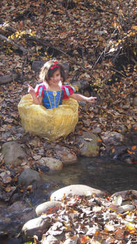 Snow White in a Woods 2