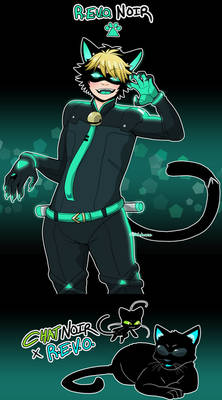 Chat Noir x REVO fusion - Schrodinger's Catboy