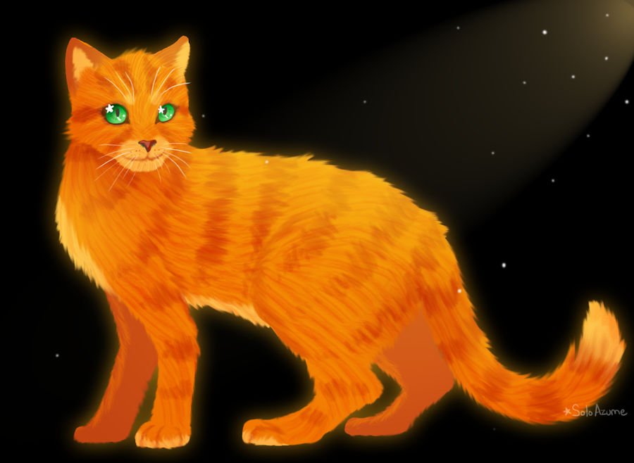 Thats Firestar Of Thunderclan Bitch Show Some Resp By Soloazume On Deviantart