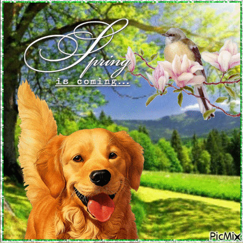 Picmix.com 11030003 by SplashAky on DeviantArt