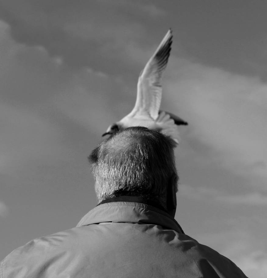 There is a bird inside my head by ZephyraMilie There is a bird inside my head by ZephyraMilie