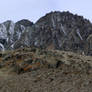 Aiguilles rouges d'Arolla