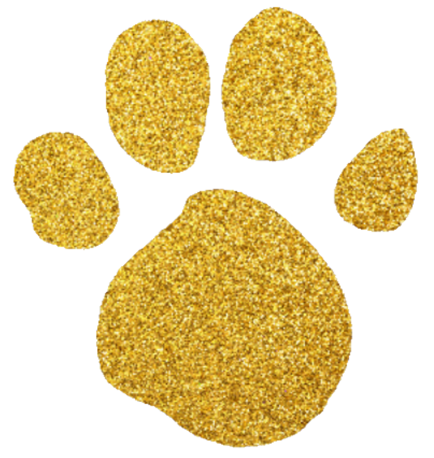 Gold clearance paw dog