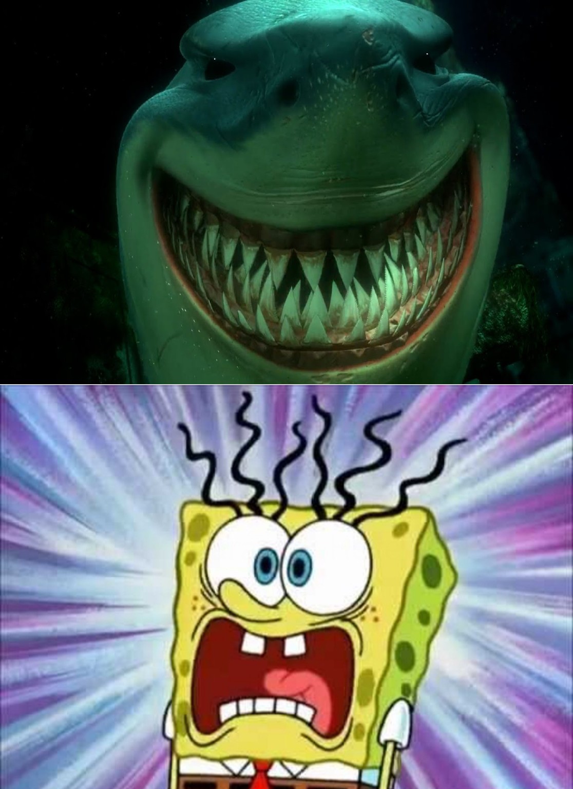 Bruce Scared Deviantart Spongebob Squarepants is scared of Bruce the Shark by brandontu1998 on ...