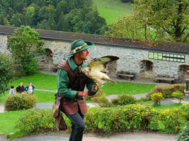 Falkner on Hohenwerfen