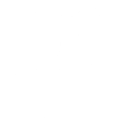 Toonami Symbol