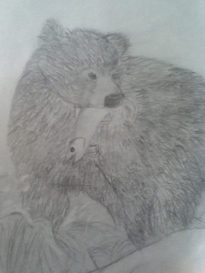 Bear