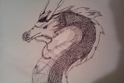 Chinese Dragon Sketch (Biro)