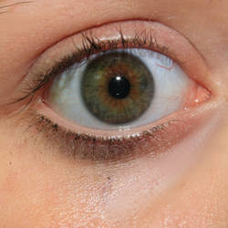 Blueish Green Eye Stock
