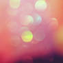 Purty Bokeh