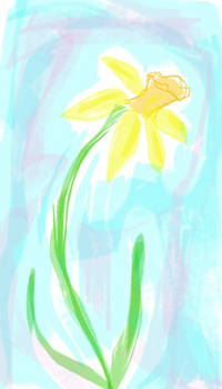 Daffodil