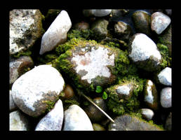 lakeside stones