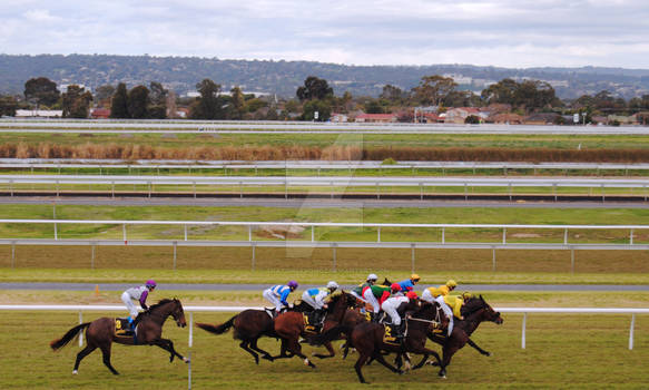 At the Races