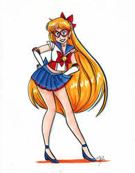 Sailor V 8x11