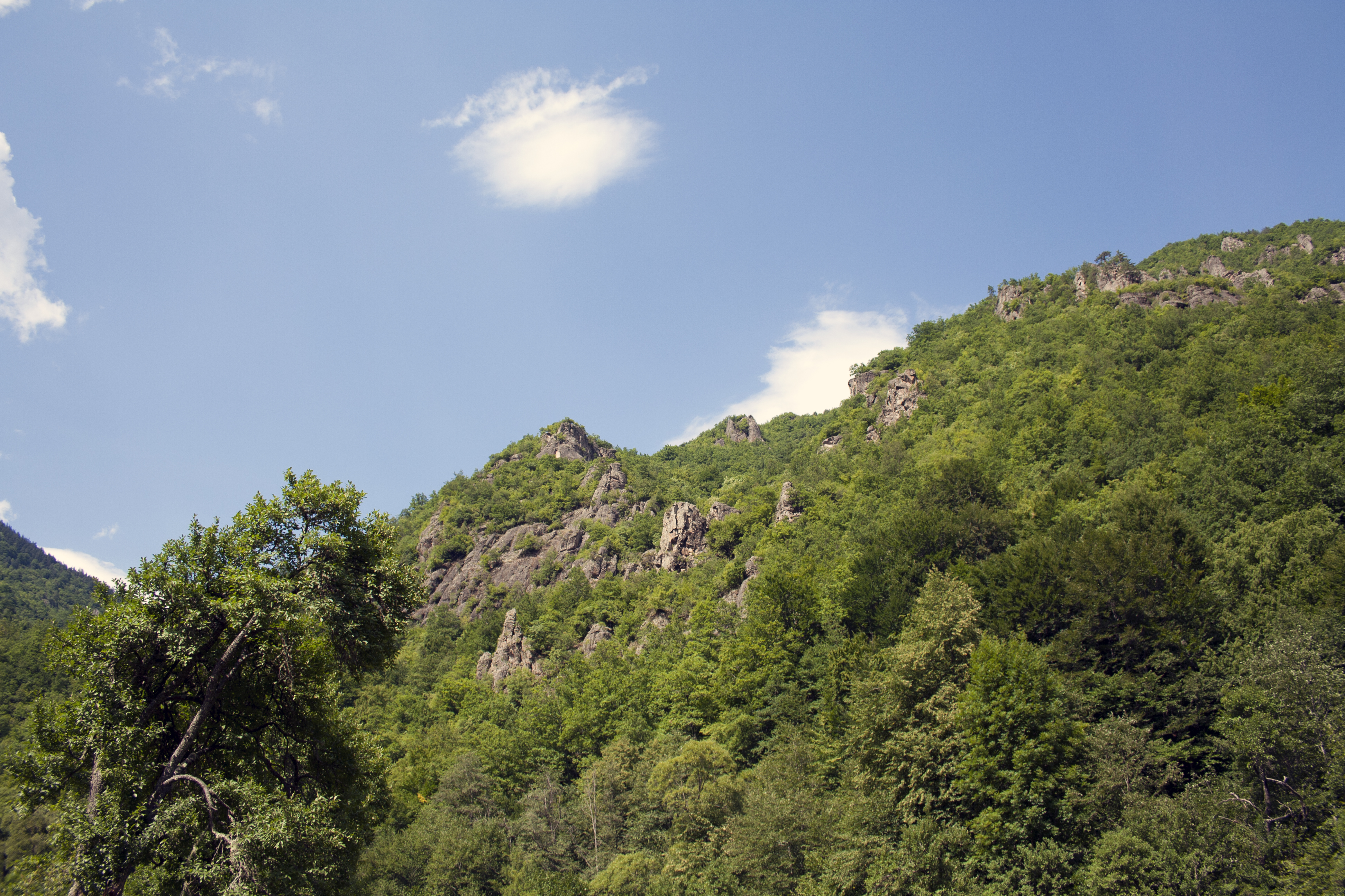 Somewhere in Rhodope Mountains