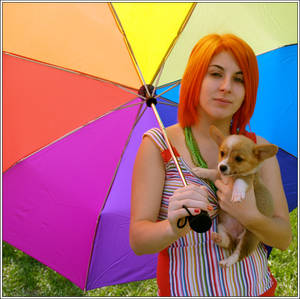 Rainbows and puppies