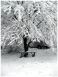 Winter by FadingObscurity