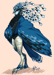 Harpy