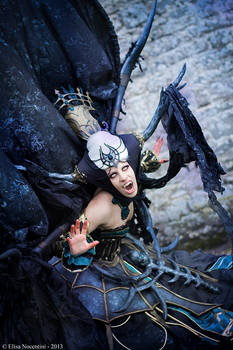 Enira Queen of Banshee - Lineage II