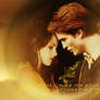 Edward and Bella wallpaper