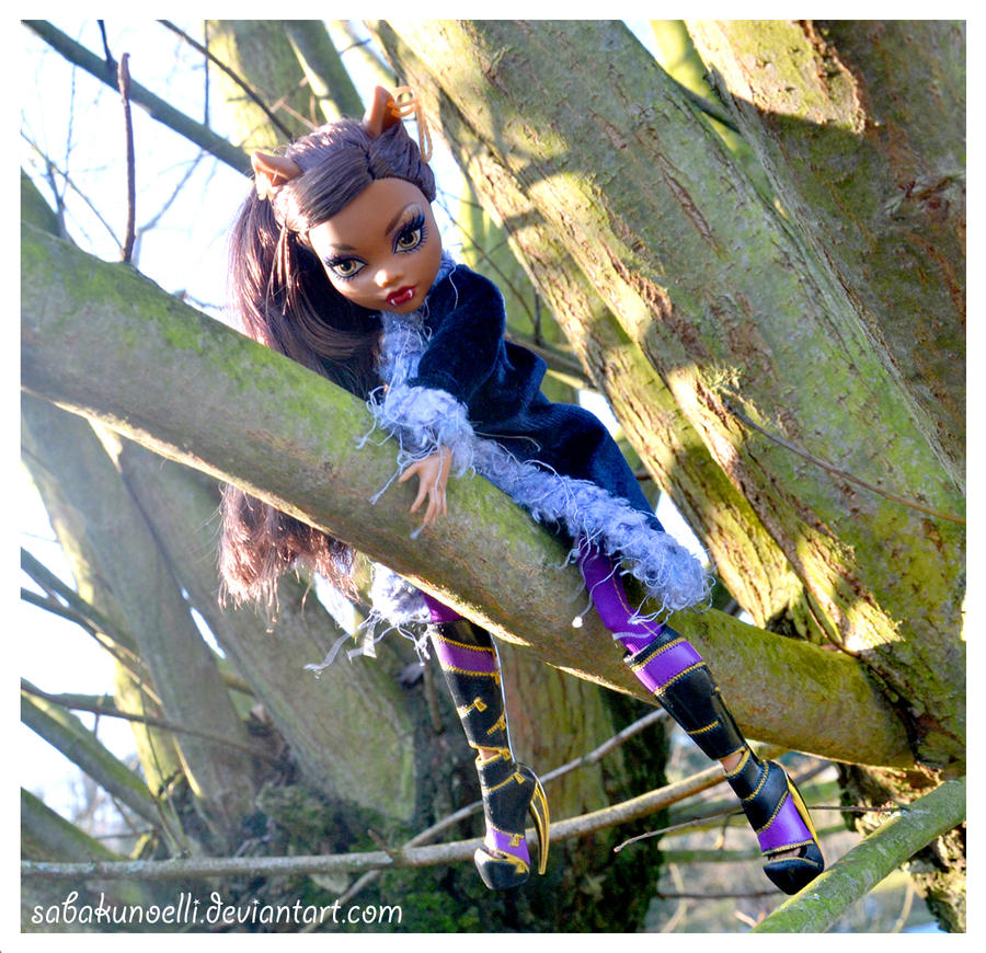 Clawdeen - Wolves are not Cats