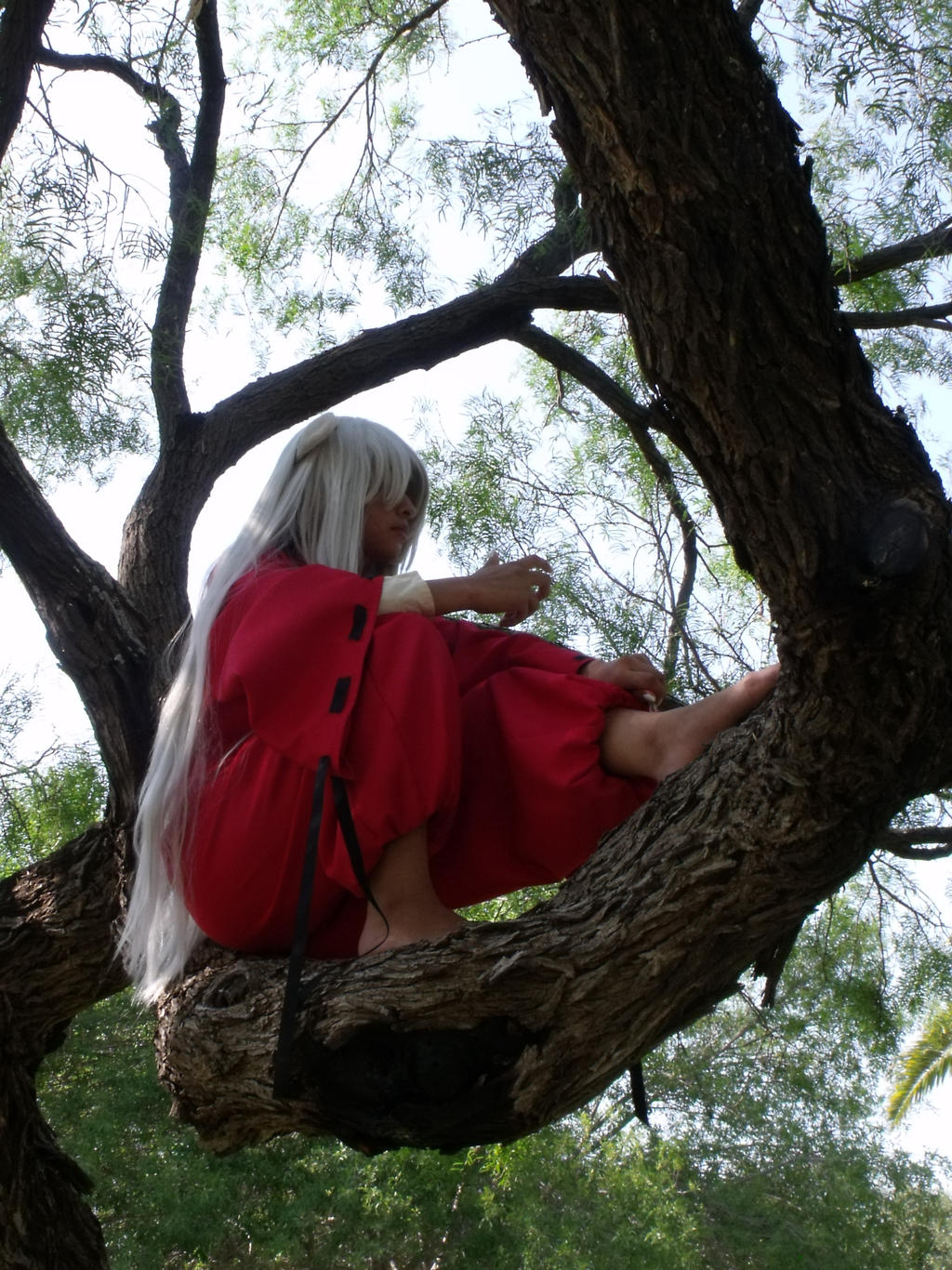 Inuyasha Thoughts