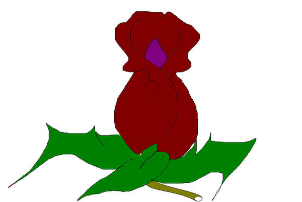 Red ROSE by BILLIARDKING on DeviantArt