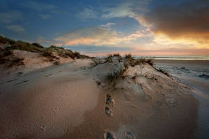 The Beach by SebaBaro