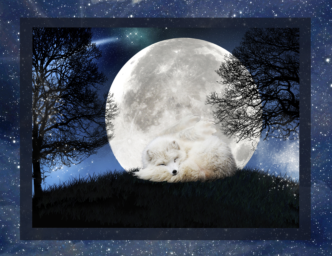 Moon Fox lead pic 2 by reedymanedkelpie