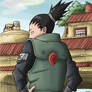 shikamaru nara color