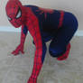 Spider-Man Comic Costume