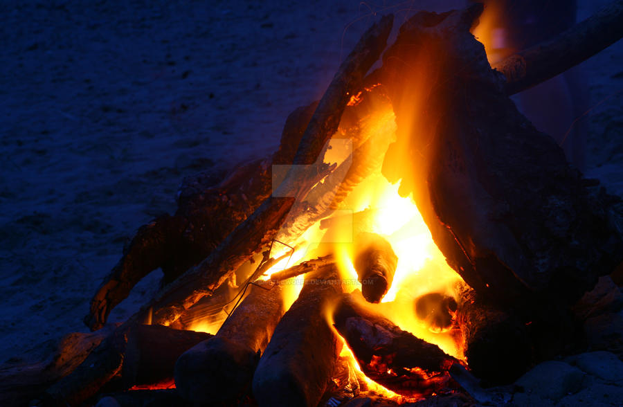Shell Beach Fire Shell island beach fire by Battlewolfe on DeviantArt