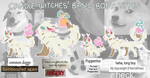 Candle Witches Basic Body Types Chart by Pyro-Zombie