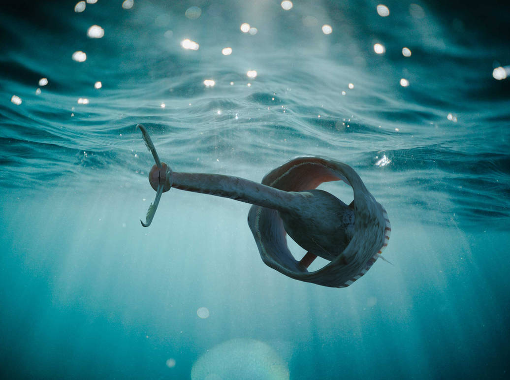 Finless Fish by salpfish1 on DeviantArt