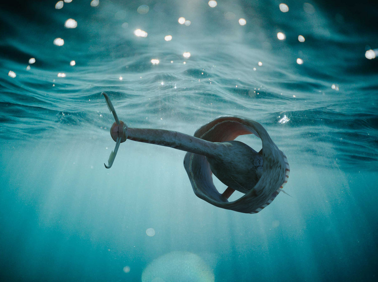 Finless Fish by salpfish1 on DeviantArt