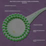 308 MYH: Multicellular Cyanobacteria