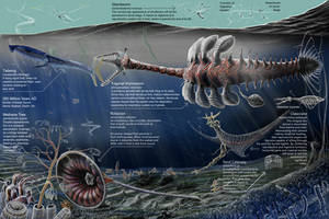 Middle Chersian Epoch - 285 Million Years AD