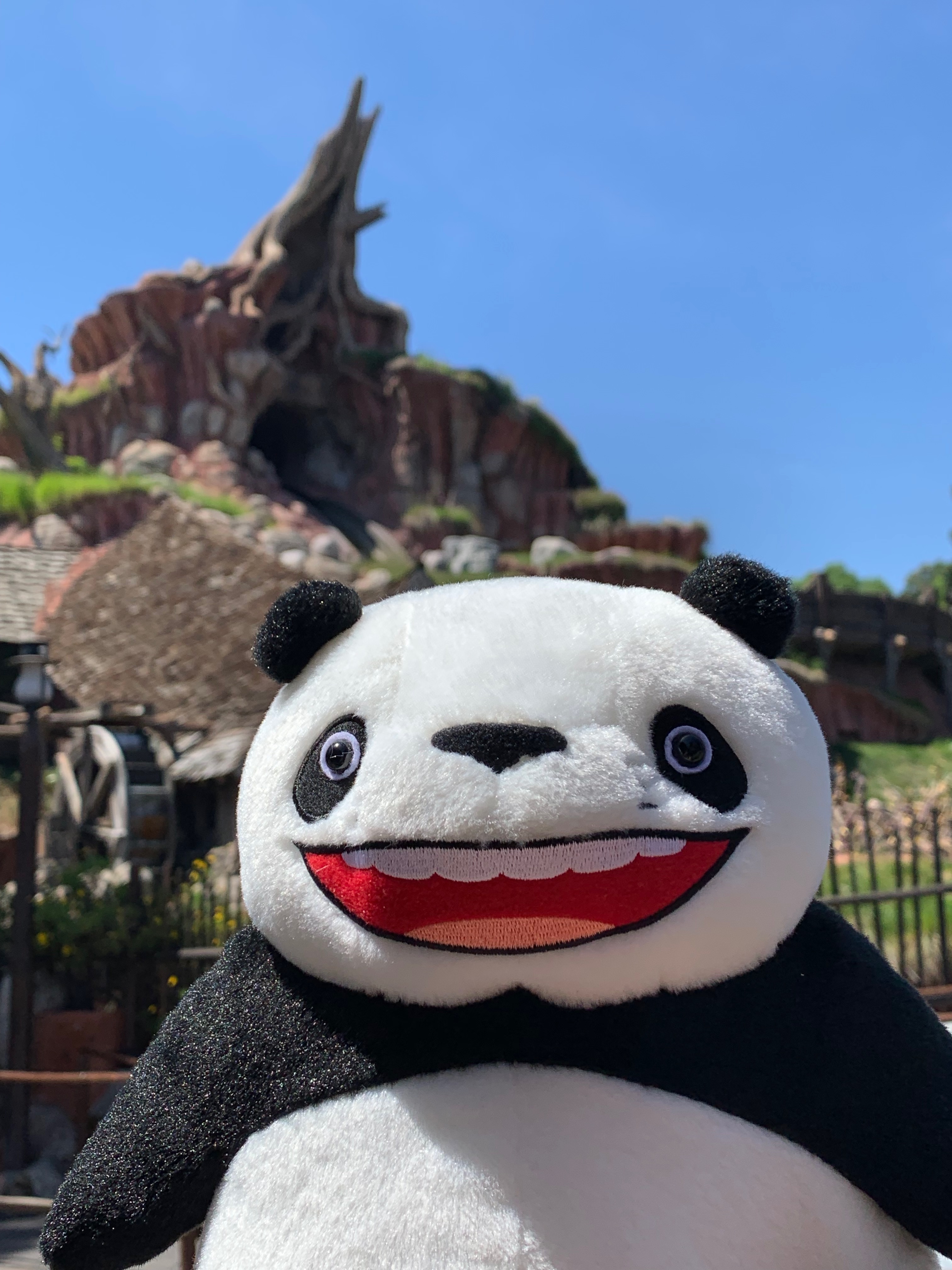 Papi Panda Papa Panda in Splash Mountain by Yingcartoonman on DeviantArt
