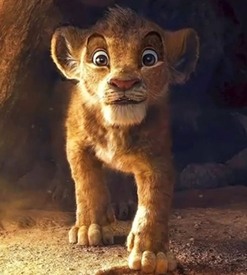 Simba (animated+LiveAction) by Yingcartoonman on DeviantArt