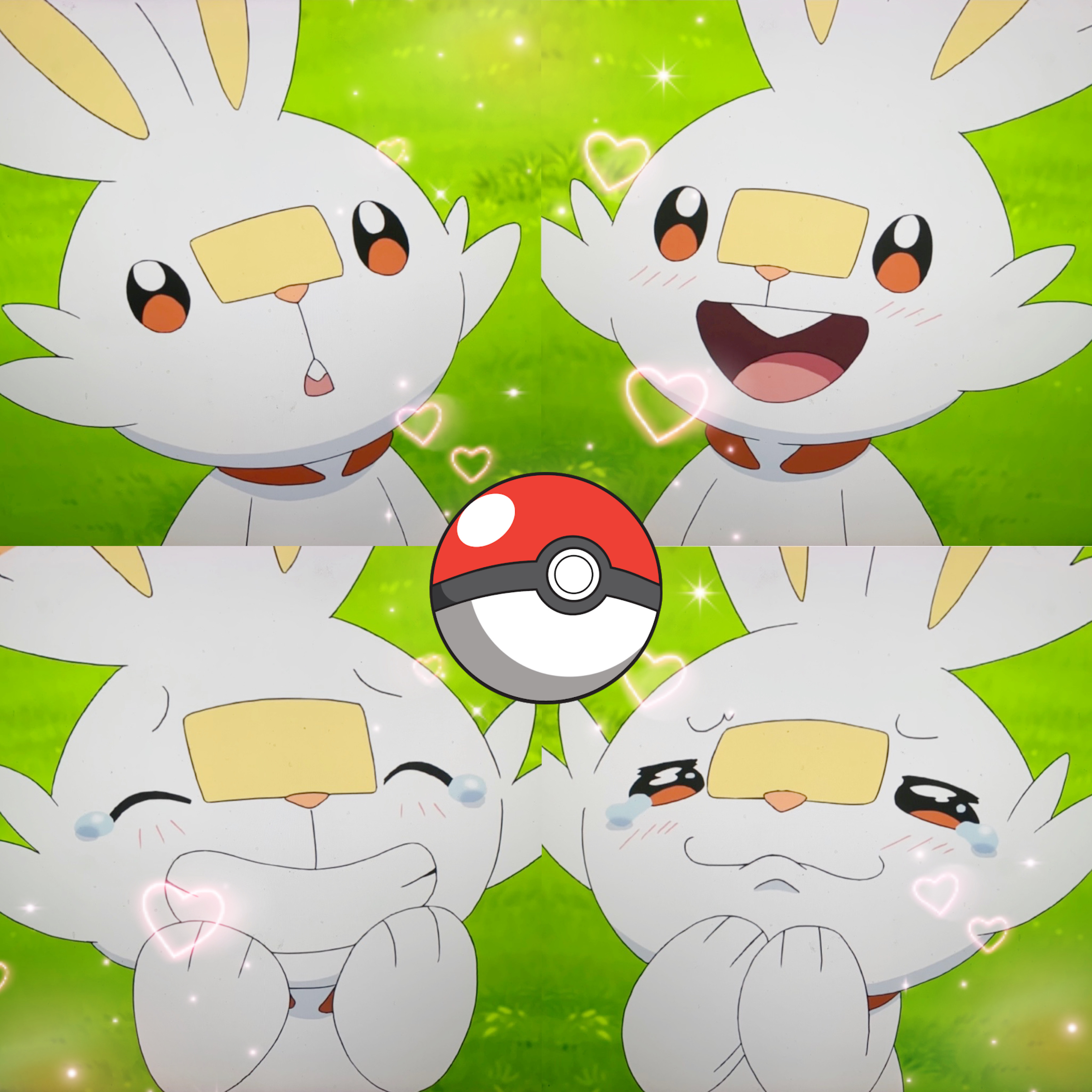 Scorbunny Cute Face by Yingcartoonman on DeviantArt Scorbunny Cute Face by Yingcartoonman on DeviantArt