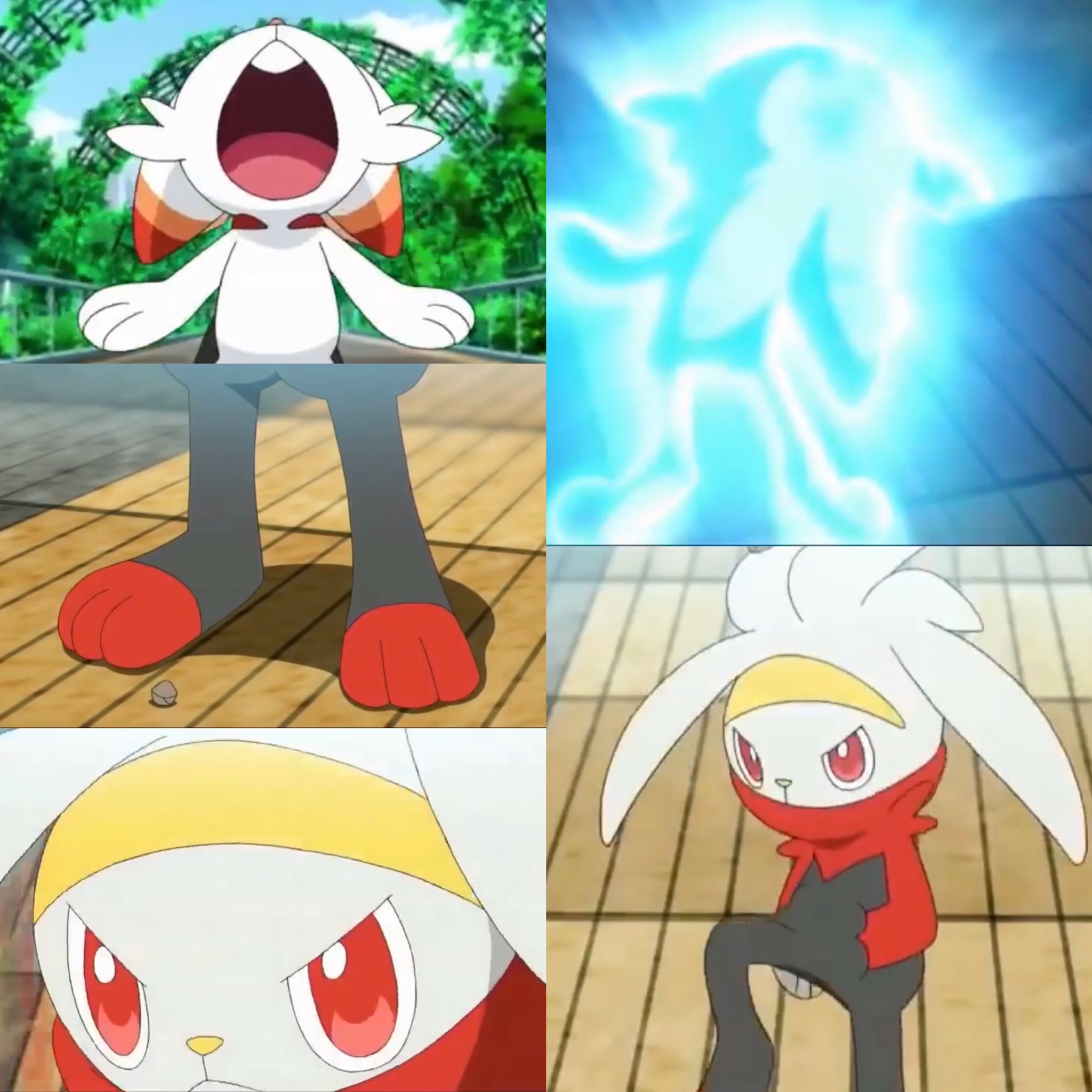 Scorbunny Raboot Go Scorbunny Evolve into Raboot by Yingcartoonman on DeviantArt