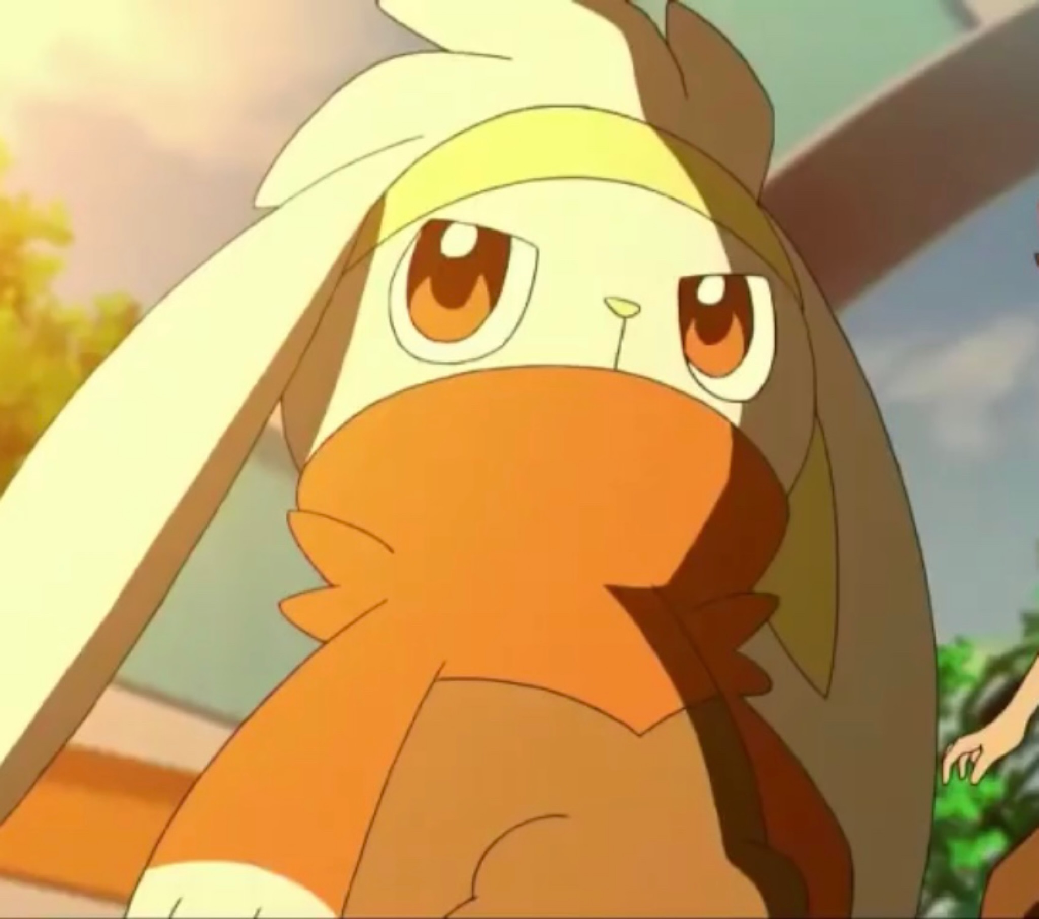 Raboot Fire Sweater by Yingcartoonman on DeviantArt